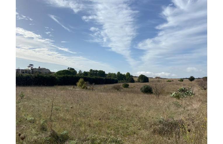 terreno agricolo in vendita ad Altamura