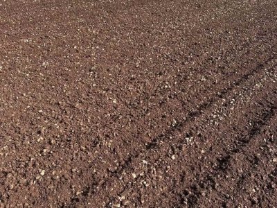 azienda agricola in vendita ad Altamura