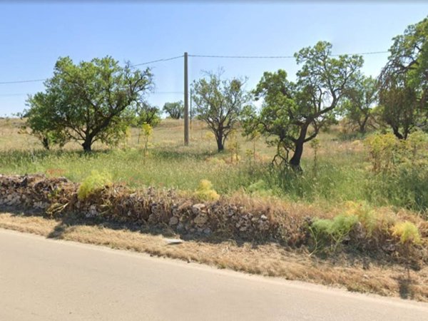 terreno agricolo in vendita ad Altamura