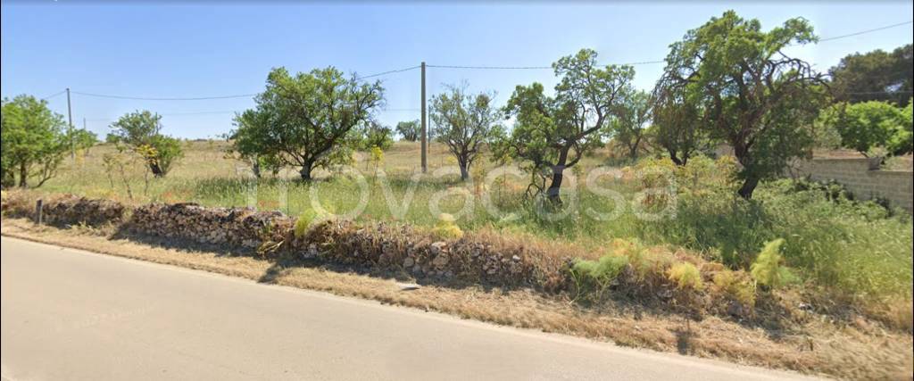terreno agricolo in vendita ad Altamura