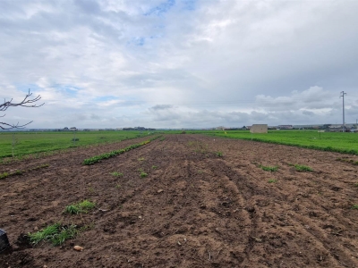terreno agricolo in vendita ad Altamura