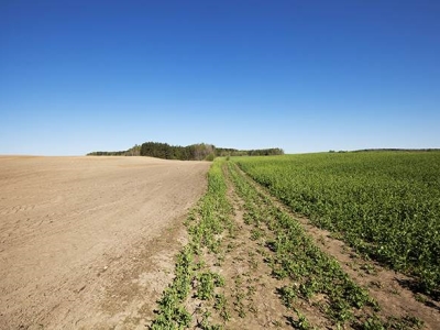 terreno agricolo in vendita ad Altamura