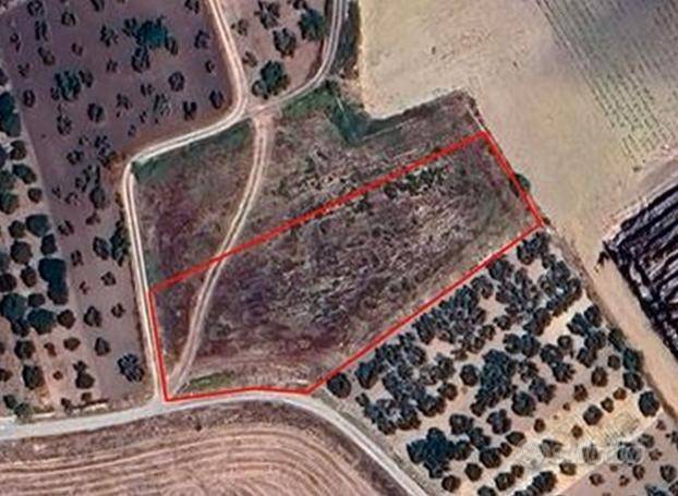 terreno agricolo in vendita ad Altamura