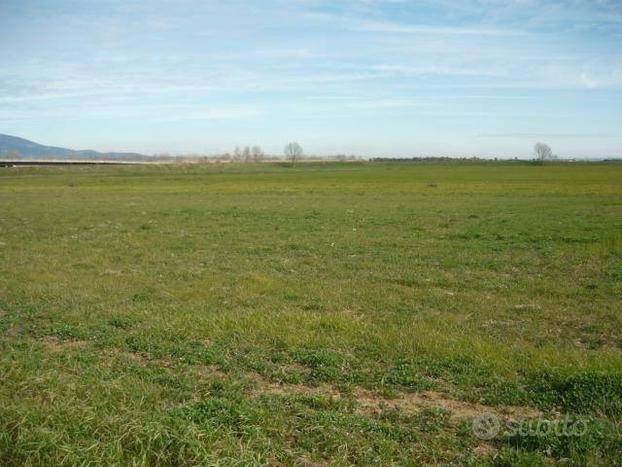 terreno agricolo in vendita ad Altamura
