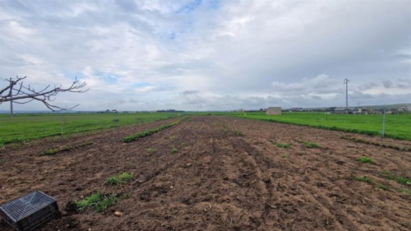 appartamento in vendita ad Altamura