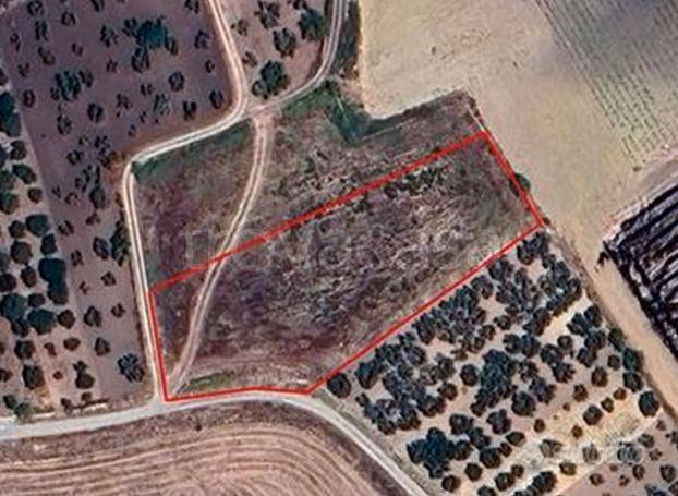 terreno agricolo in vendita ad Altamura