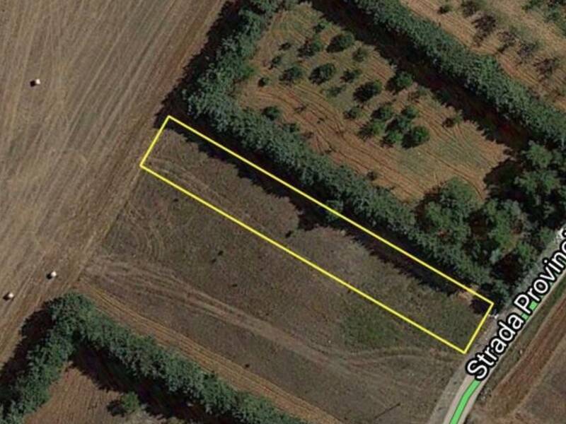 terreno agricolo in vendita ad Altamura