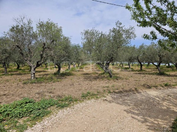 terreno agricolo in vendita ad Altamura