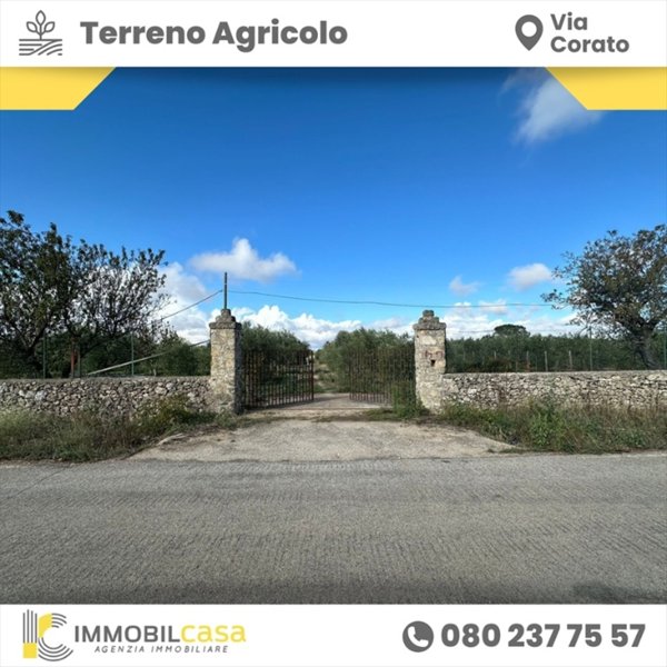 casa indipendente in vendita ad Altamura