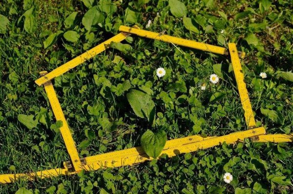 terreno agricolo in vendita ad Altamura