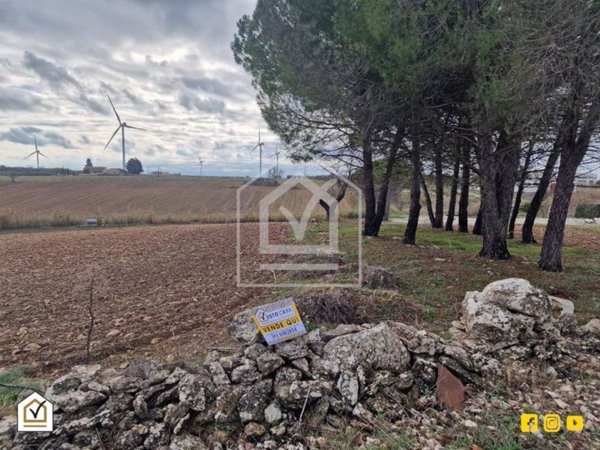 terreno agricolo in vendita ad Altamura