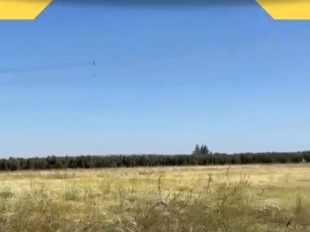 terreno agricolo in vendita ad Altamura