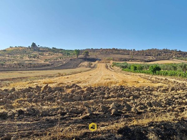 terreno agricolo in vendita ad Altamura