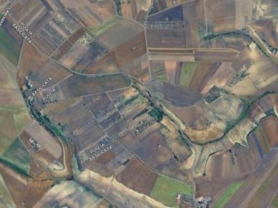 azienda agricola in vendita ad Altamura