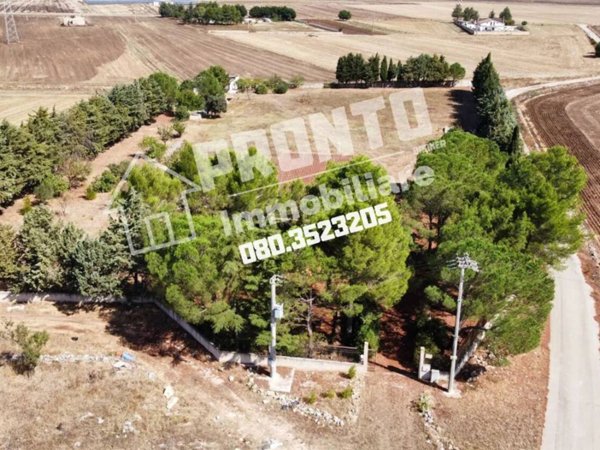casa indipendente in vendita ad Altamura