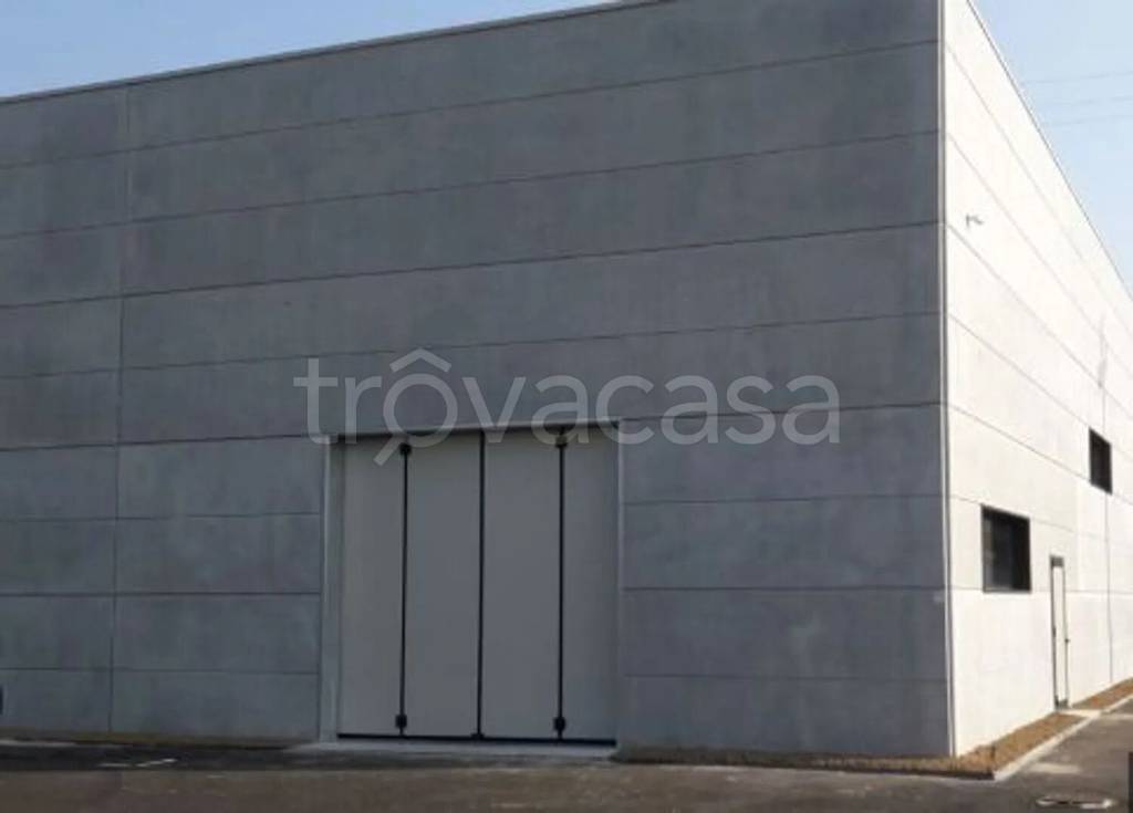 quadrivano in vendita ad Altamura