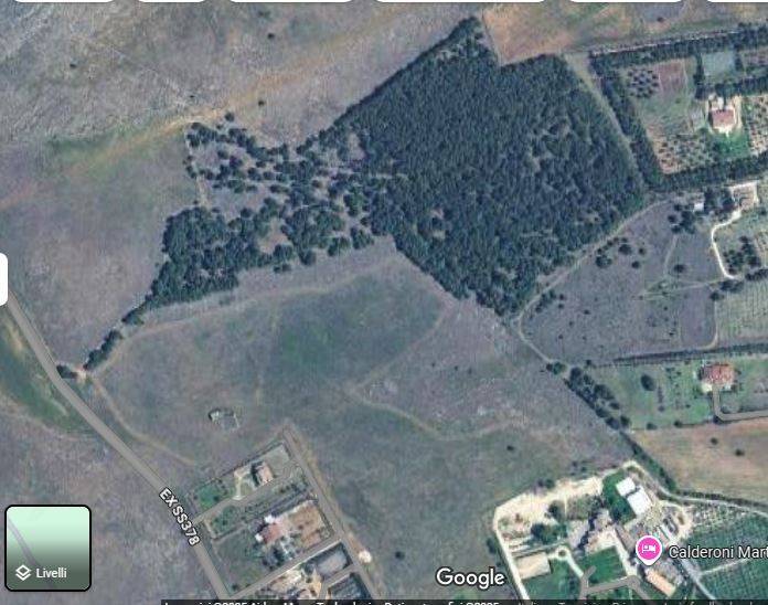 terreno agricolo in vendita ad Altamura