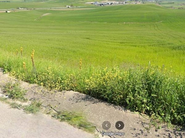 terreno agricolo in vendita ad Altamura
