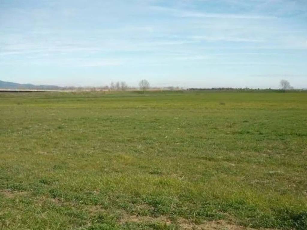 terreno agricolo in vendita ad Altamura