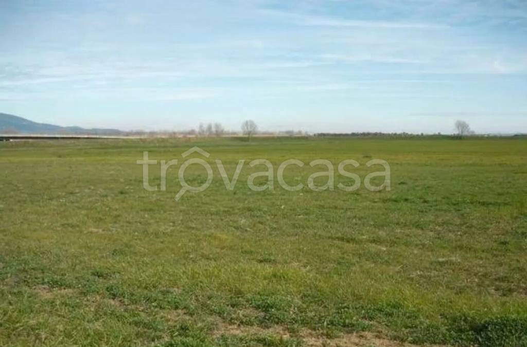 terreno agricolo in vendita ad Altamura