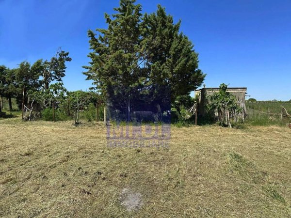 terreno agricolo in vendita ad Altamura