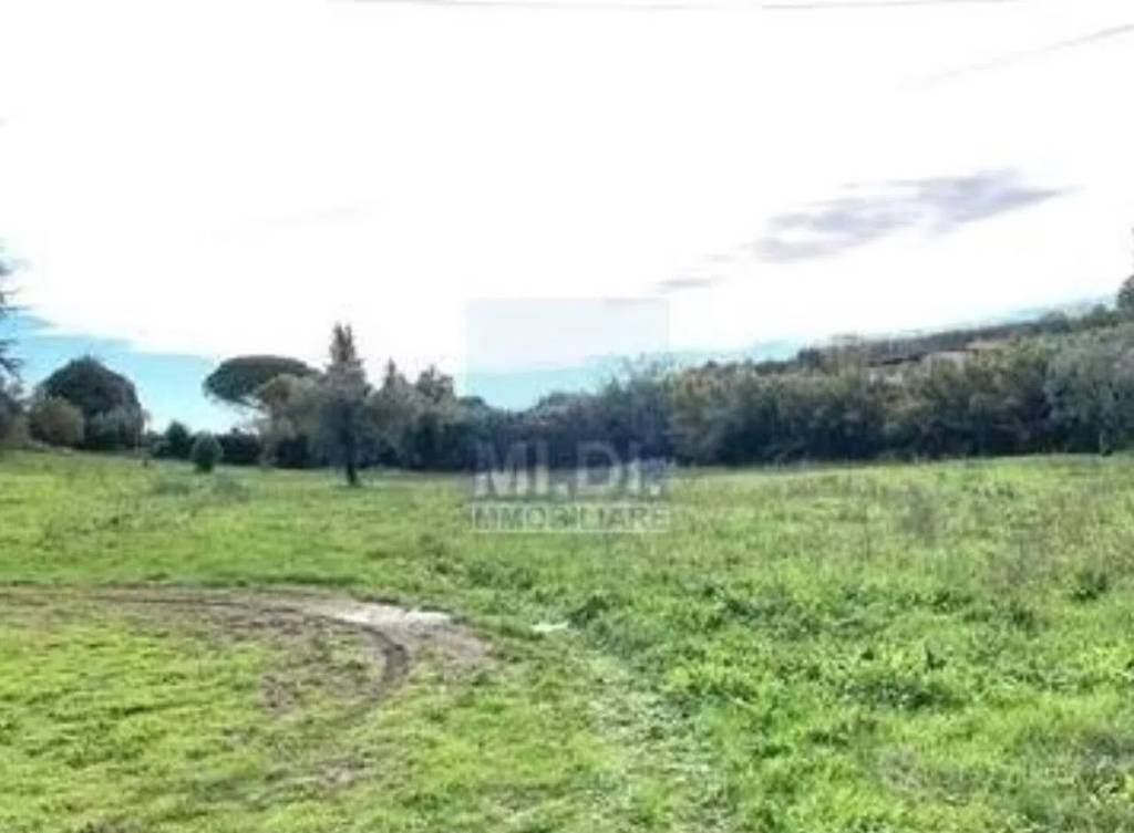 terreno agricolo in vendita ad Altamura