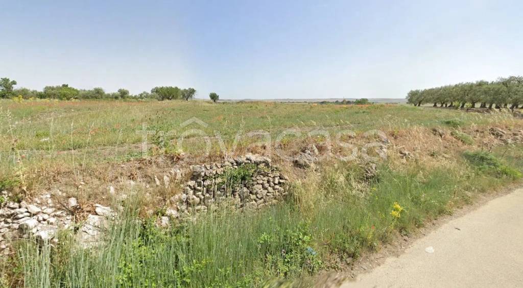 terreno agricolo in vendita ad Altamura