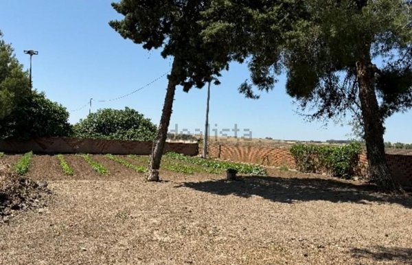 casa indipendente in vendita ad Altamura