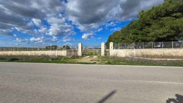 terreno agricolo in vendita ad Altamura
