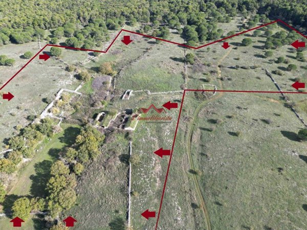 casa indipendente in vendita ad Altamura