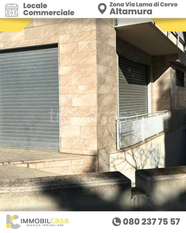 negozio in vendita ad Altamura