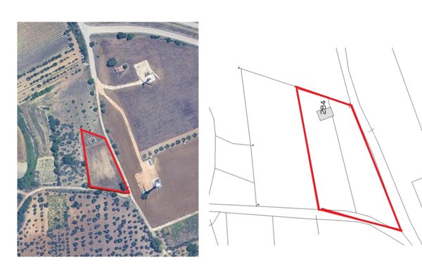 terreno agricolo in vendita ad Altamura