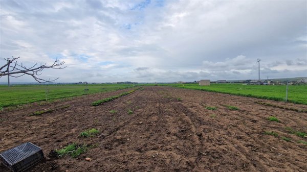 terreno agricolo in vendita ad Altamura
