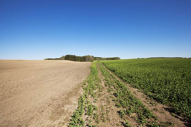 terreno agricolo in vendita ad Altamura