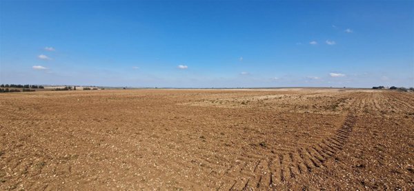 azienda agricola in vendita ad Altamura