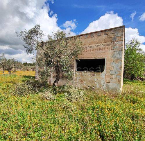 terreno agricolo in vendita ad Altamura