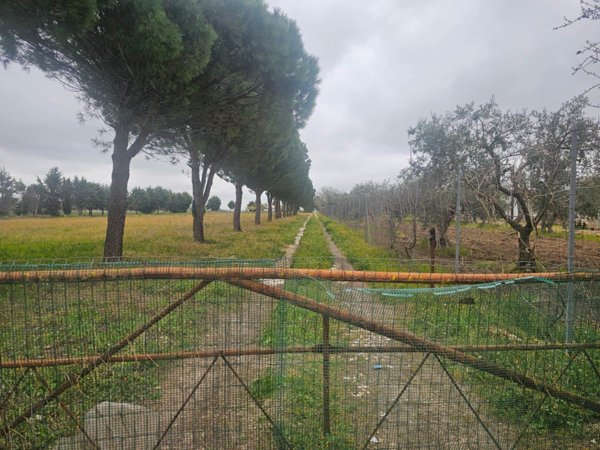 casa indipendente in vendita ad Altamura in zona Fornello