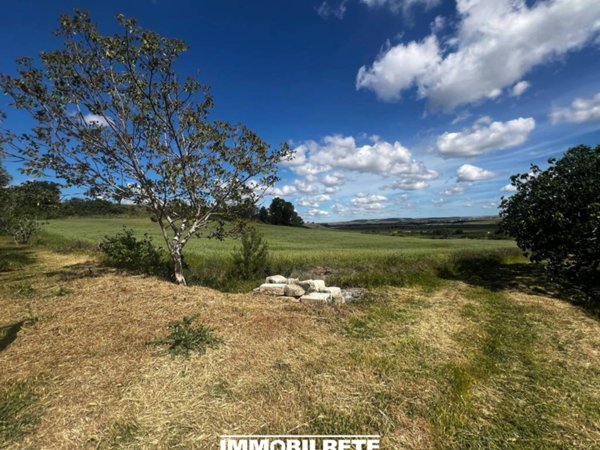 terreno agricolo in vendita ad Altamura