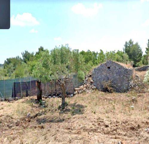 casa indipendente in vendita ad Altamura