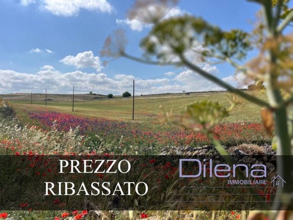 casa indipendente in vendita ad Altamura