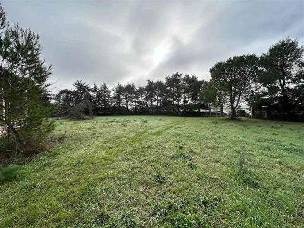 casa indipendente in vendita ad Altamura