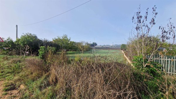 terreno agricolo in vendita ad Altamura