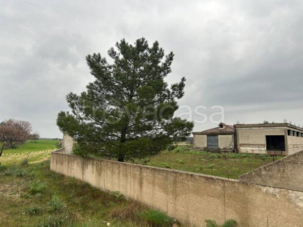 capannone in vendita ad Altamura