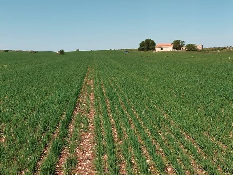 appartamento in vendita ad Altamura