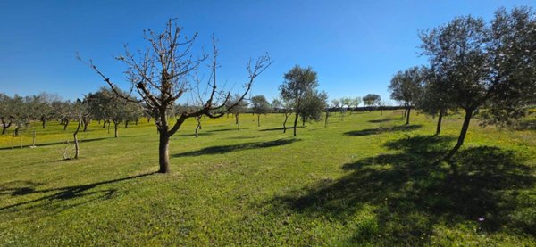 appartamento in vendita ad Altamura