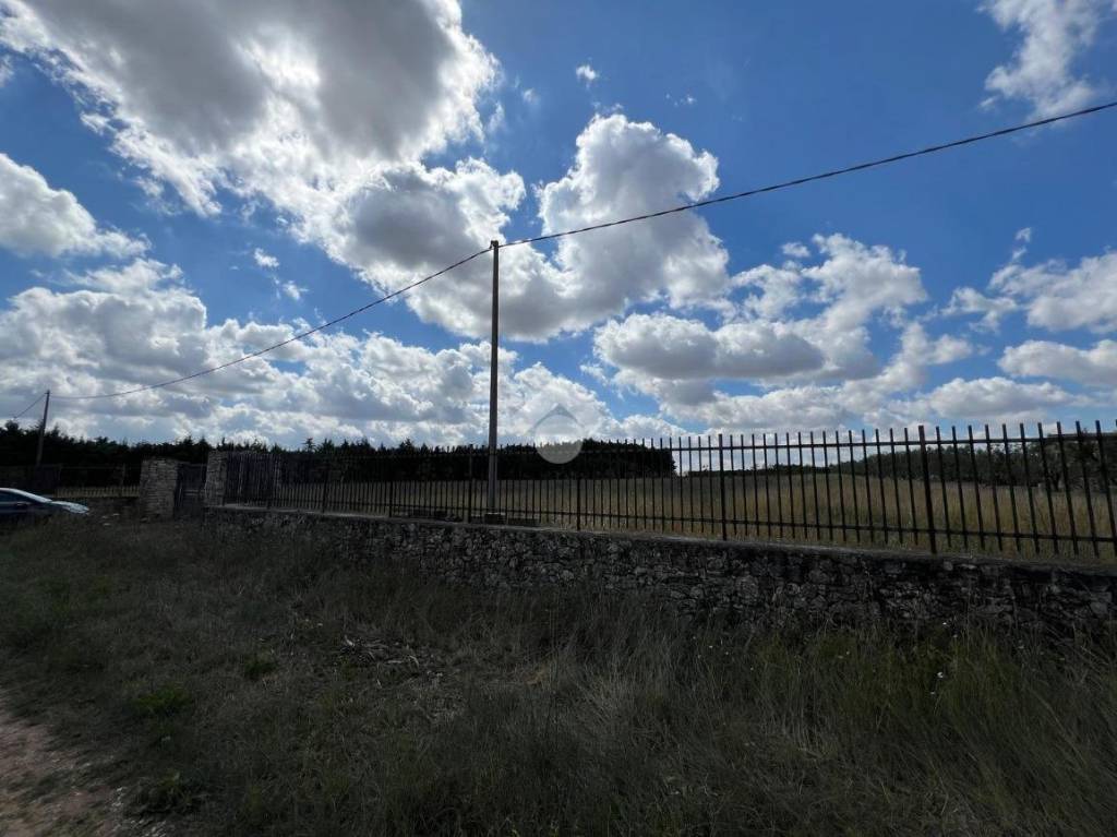 terreno agricolo in vendita ad Altamura in zona Centro Storico