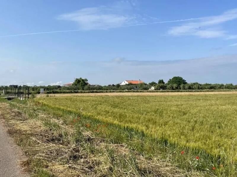 casa indipendente in vendita ad Altamura