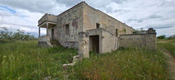 azienda agricola in vendita ad Altamura