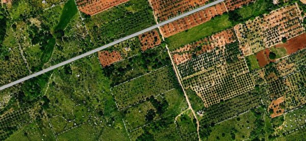 appartamento in vendita ad Altamura