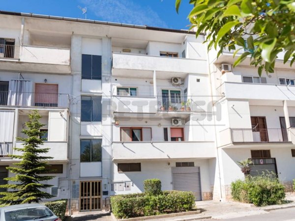appartamento in vendita ad Altamura